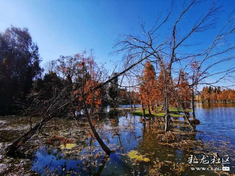 抖音遇上周星驰 短剧生意从小厂卷向大厂